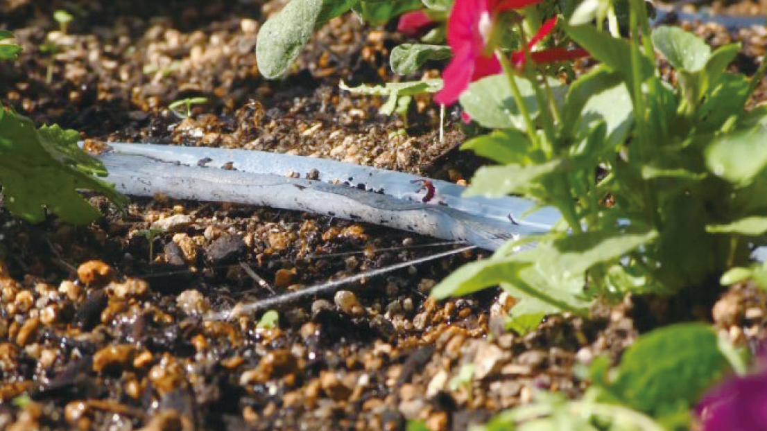 植栽の散水写真